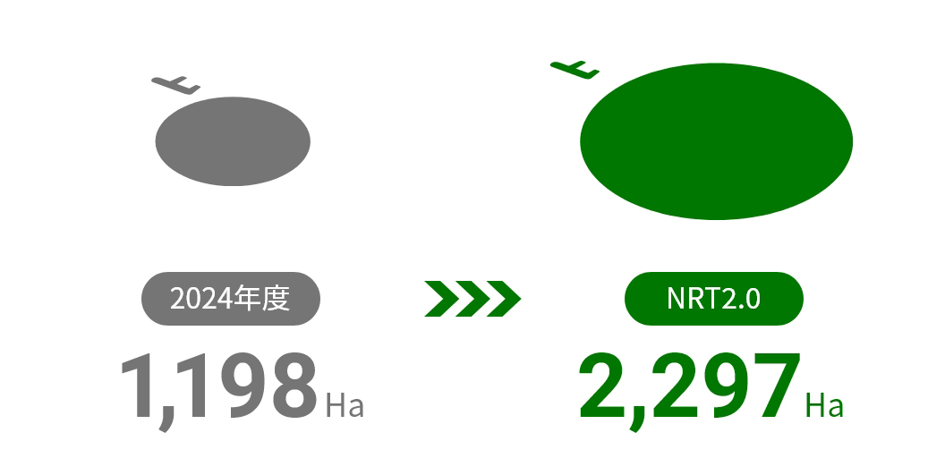 2024年度 1,137Ha→NRT2.0 2,297ha